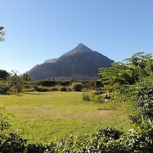 Triple Room Mountain View